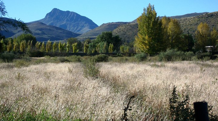 Meerkat Self-Catering