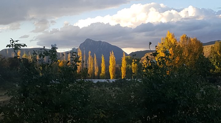 Meerkat Self-Catering