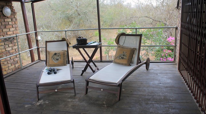 4294 Impala Marloth Park 