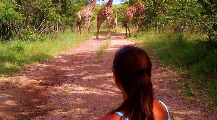 Green Kruger Lodge