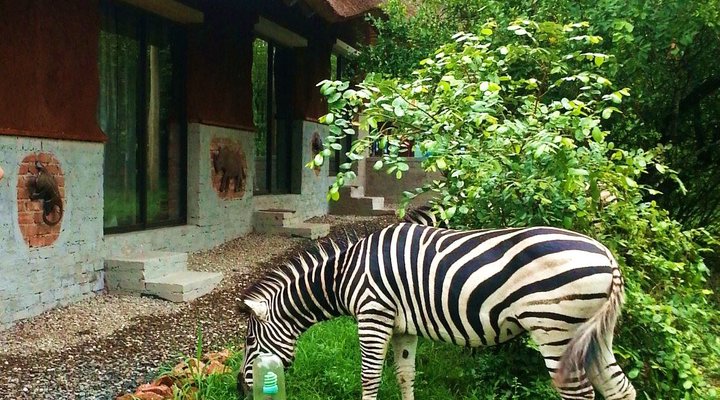 Green Kruger Lodge