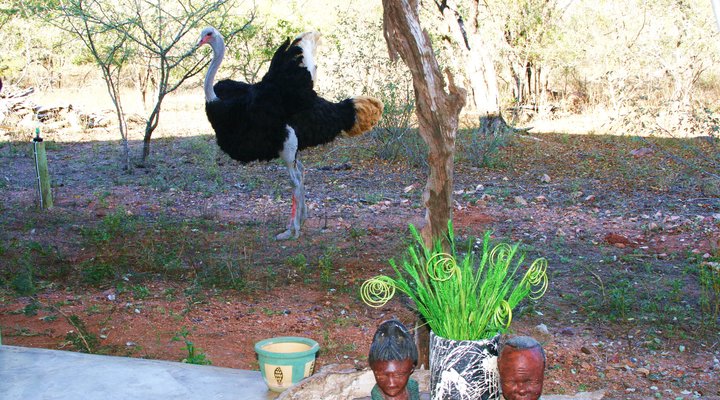 Green Kruger Lodge