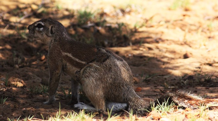 Vaal River Lover's Nest