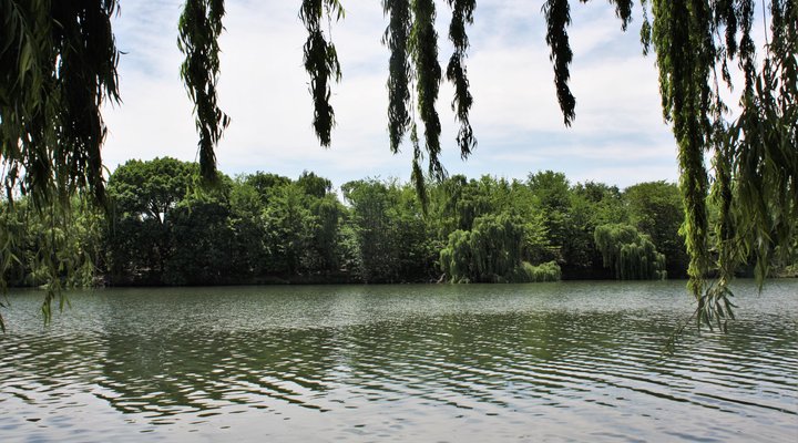 Vaal River Lover's Nest