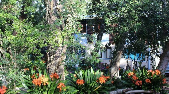 Natures Valley Health Retreat