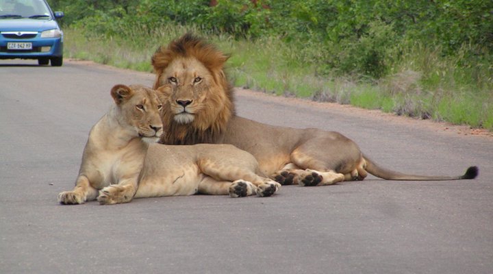 Arimagham Guest House