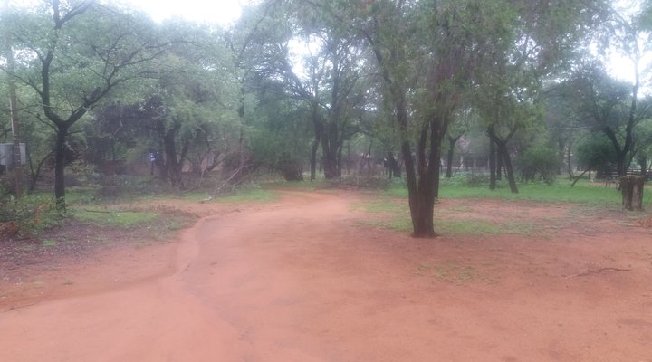 Bosveld Vreugde - House Zebra