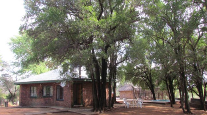 Bosveld Vreugde - House Zebra