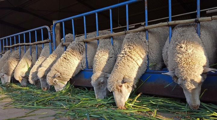 Copperleigh Trout Lodge