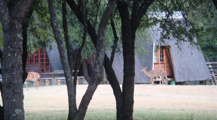 Buffelsdrift Rust de Winter