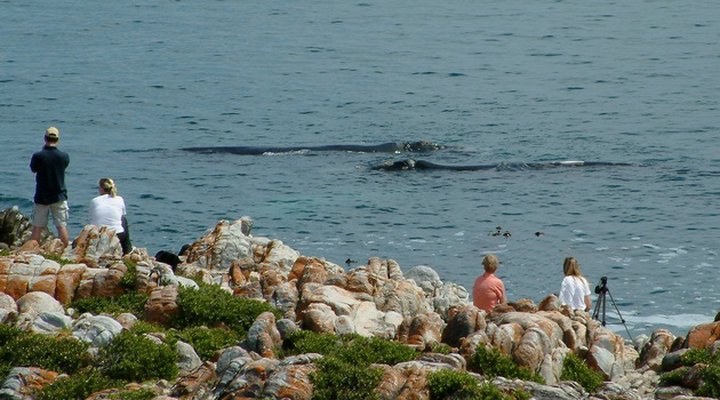 Marebella Seafront Guesthouse