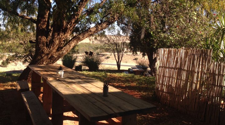 Kamelruhe Guest House & Camping