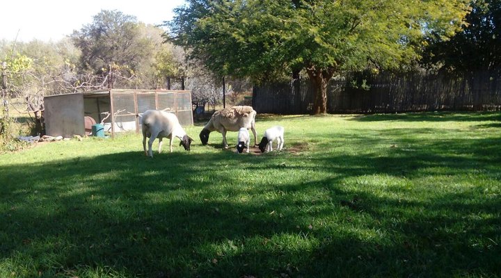 Thorni Corner Farm House