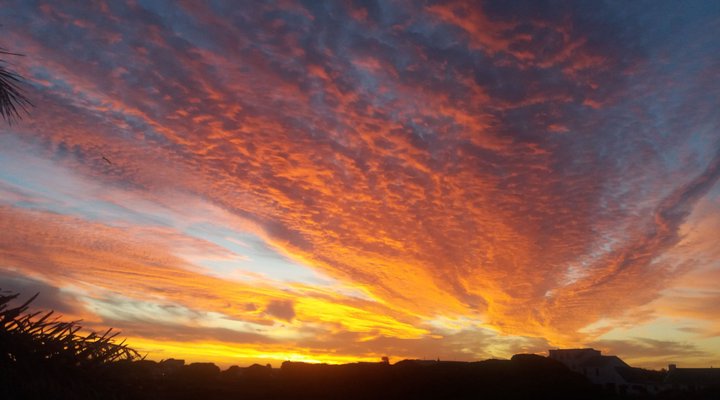 A Seaside Place @ Long Beach 