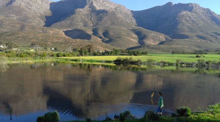 Klein Karoo Welgevonden