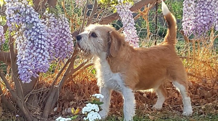 Meerkat Self-Catering