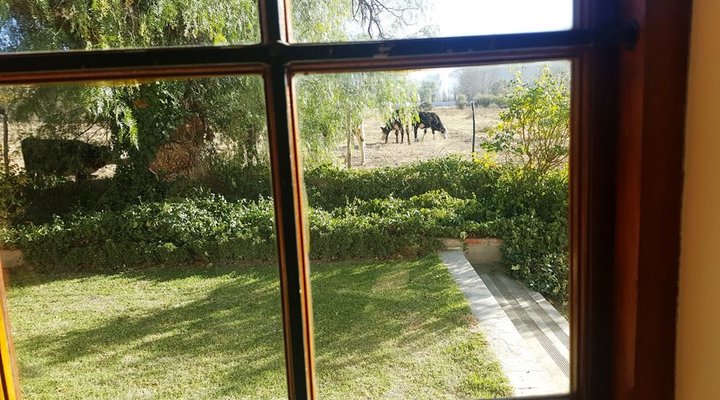 Meerkat Self-Catering