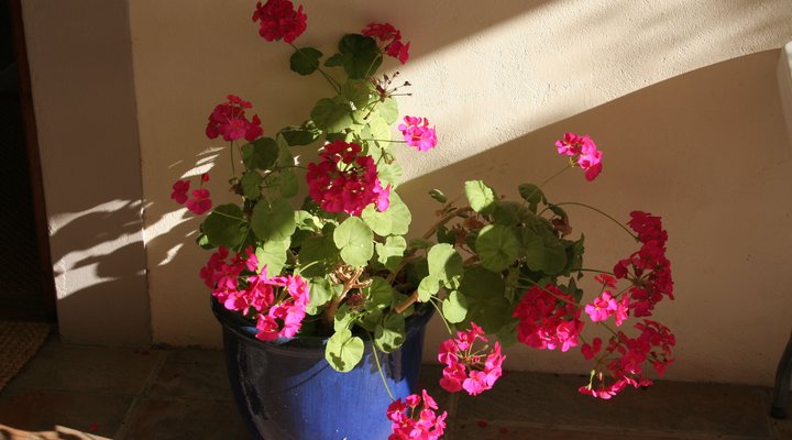 Meerkat Self-Catering