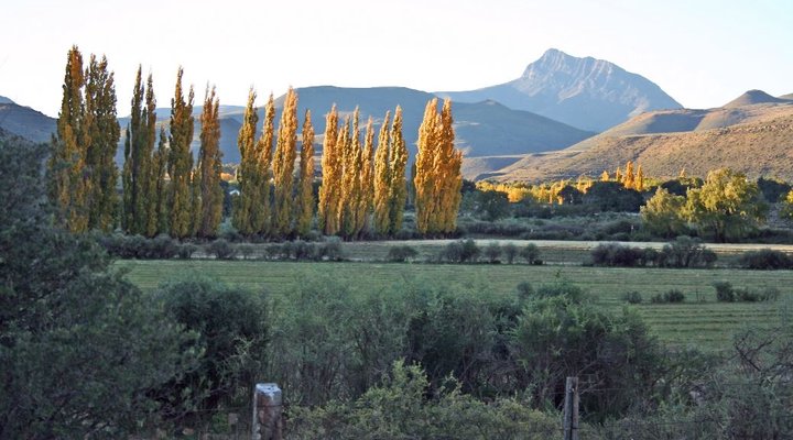 Meerkat Self-Catering
