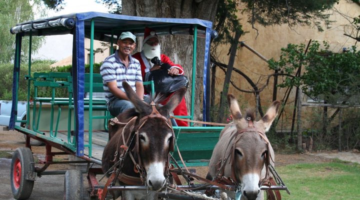 Meerkat Self-Catering