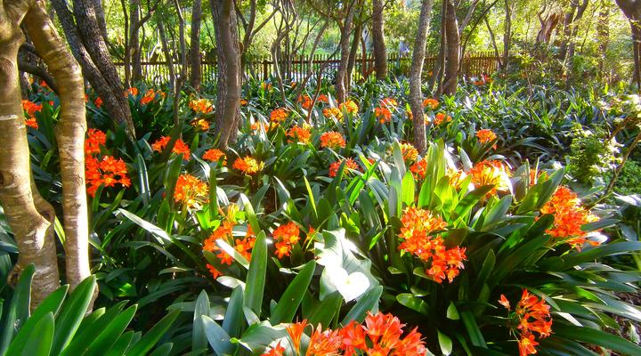 House at Pooh Corner