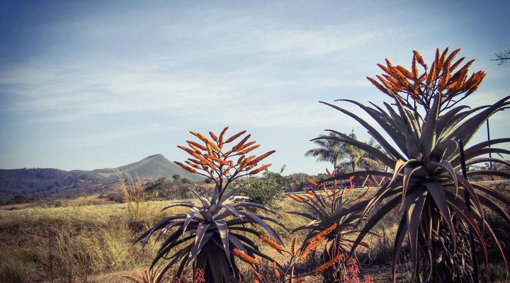 Mountain View Guest House