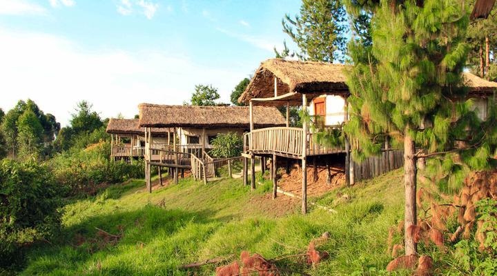 Ruhija Gorilla Mist Camp