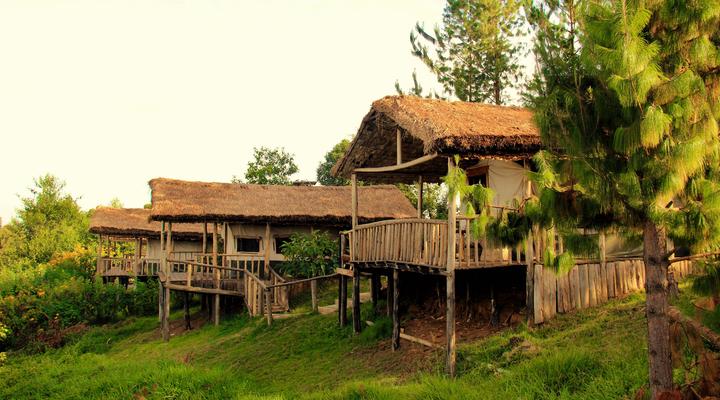 Ruhija Gorilla Mist Camp