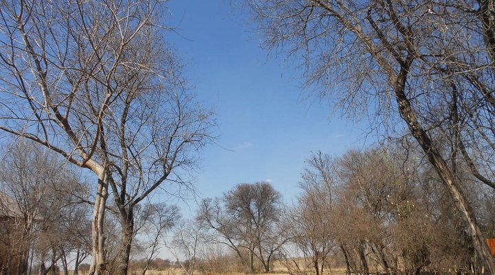Vaal River Lover's Nest