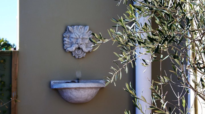 High Palms Guesthouse