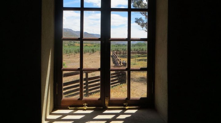 Kredouw Olive Estate