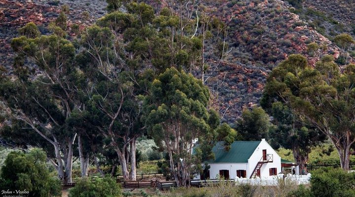 Kredouw Olive Estate