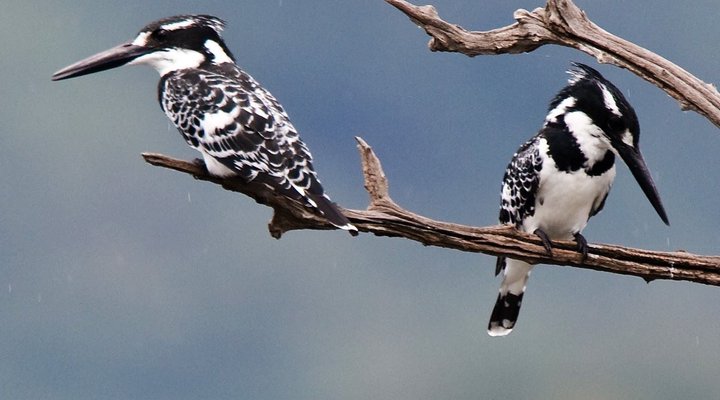 Shakati Private Game Reserve
