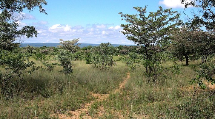 Shakati Private Game Reserve