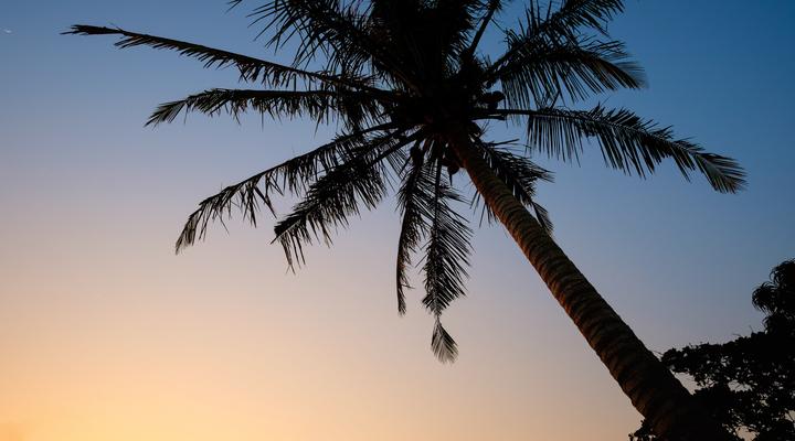 The St Lucia Eco Lodge