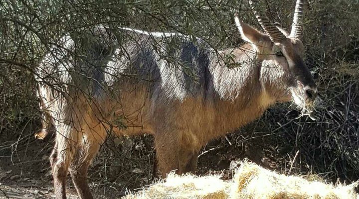 Le Bonheur Guesthouse