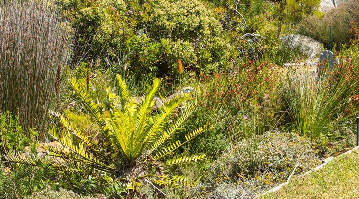 Bay Vista Garden Flat