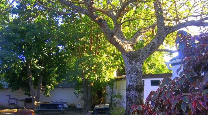 Heritage Guest House