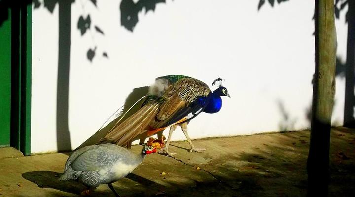 Heritage Guest House