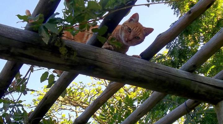 Heritage Guest House