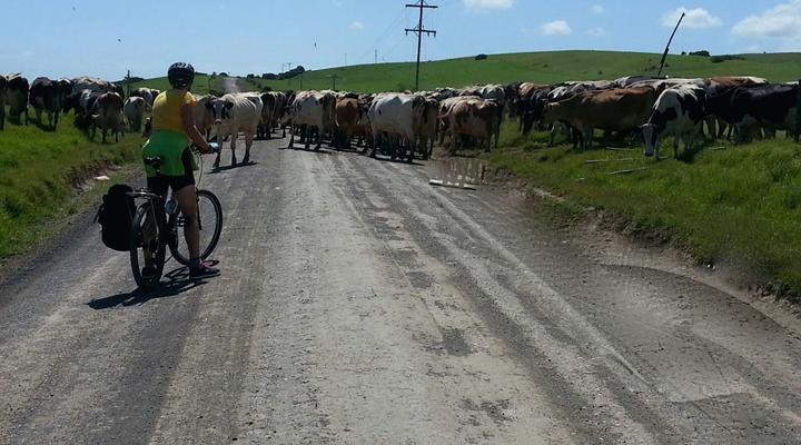 Heritage Guest House