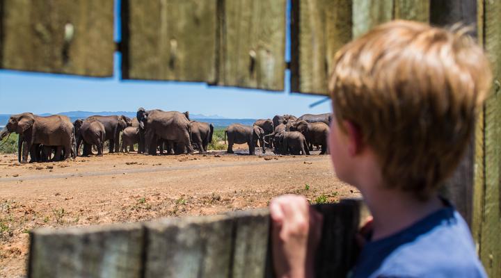 Heritage Guest House