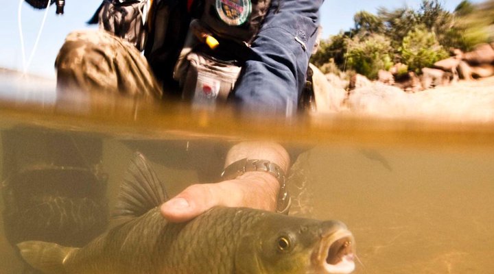 Gkhui Gkhui River Lodge