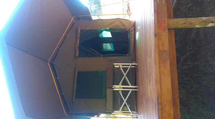 Willow Hill Mountain camp 