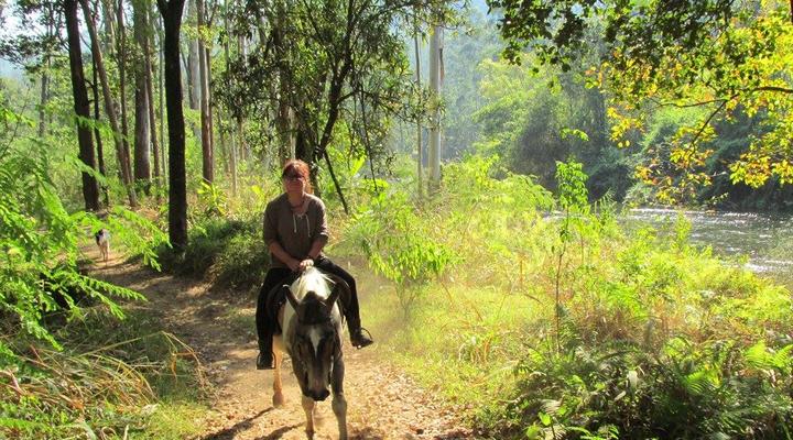 Hazyview Holiday Houses