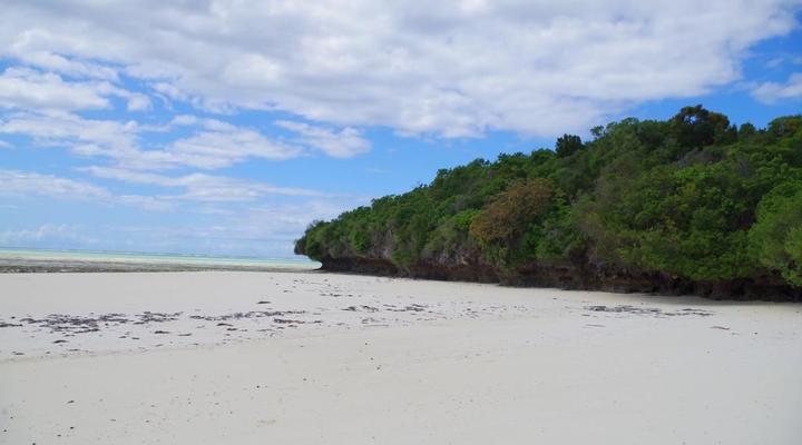 Ras Michamvi Beach Resort