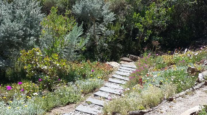 Dolphin View Holiday Apartments