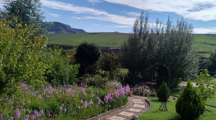 Guddle Burn Farm Stay