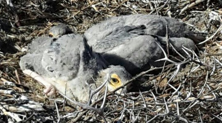 African Sunset Lodge - Safari's