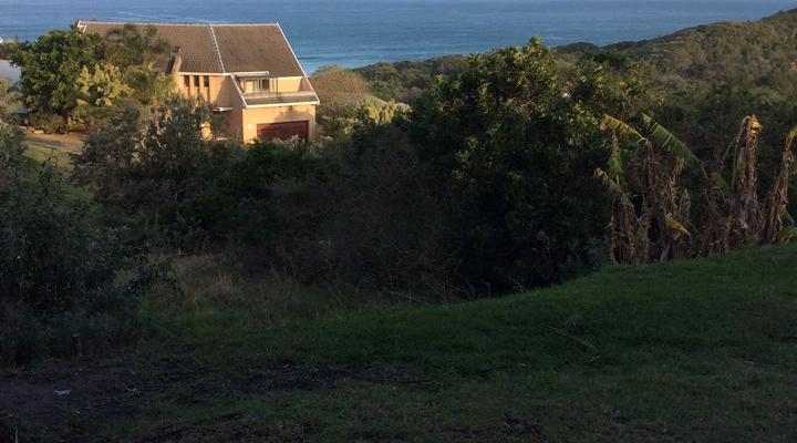 House of Green and Blue